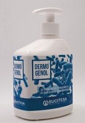 Dezinfekcinis rankų gelis Dermogenol, 16 x 500 ml kaina ir informacija | Pirmoji pagalba | pigu.lt