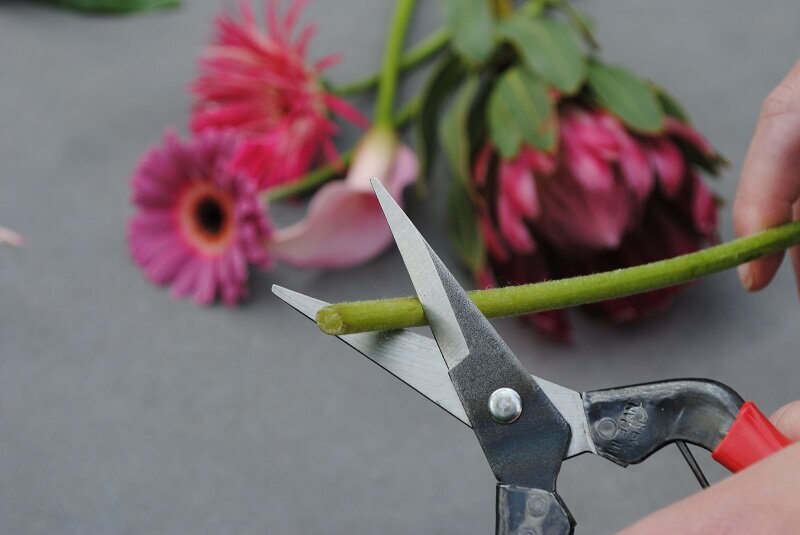 Gėlių žirklės Okatsune, ilgais ašmenimis, minkštiems stiebams kaina