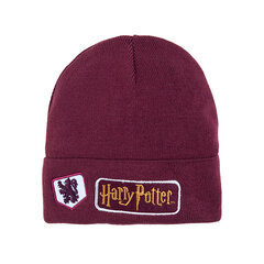 Cool Club kepurė berniukams Haris Poteris (Harry Potter), LAB2330882 kaina ir informacija | Kepurės, šalikai berniukams | pigu.lt