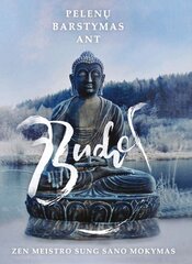 Pelenų barstymas ant Budos. Zen meistro Sung Sano mokymas kaina ir informacija | Dvasinės knygos | pigu.lt