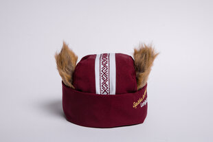 Kepurė su lokio ausimis kaina ir informacija | Originalios kepurės | pigu.lt