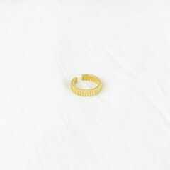 Paauksuotas sidabrinis žiedas moterims Nora Chunky kaina ir informacija | Žiedai | pigu.lt