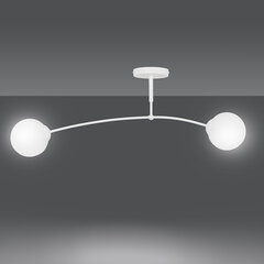Emibig lubinis šviestuvas Pregos 2 White kaina ir informacija | Lubiniai šviestuvai | pigu.lt