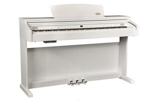 Artesia DP-3+ 88-klavišų elektrinis pianinas (baltas) kaina ir informacija | Klavišiniai muzikos instrumentai | pigu.lt