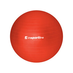 Gimnastikos kamuolys inSPORTline, 65 cm su pompa kaina ir informacija | Gimnastikos kamuoliai | pigu.lt
