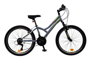 Vaikų dviratis N1 Junior 1.0 24", pilkas kaina ir informacija | Dviračiai | pigu.lt