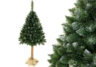 Рождественская елка, 2.2 м цена и информация | Искусственные елки | pigu.lt