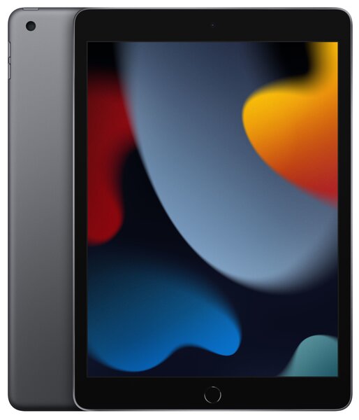 Apple iPad 9 kartos, 10.2", Wi-Fi, 256GB, pilkas