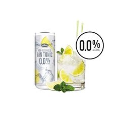 Nealkoholinis kokteilis Twisst Gin Tonic, 250 ml x 6 vnt. цена и информация | Безалкогольные напитки | pigu.lt