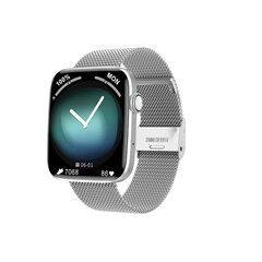 DT NO.1 DT1 GPS Смарт-часы, серебристый металл цена и информация | Смарт-часы (smartwatch) | pigu.lt