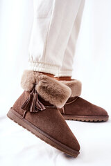 Žieminiai batai moterims Sorella 292085012, rudi kaina ir informacija | Žieminiai batai moterims Sorella 292085012, rudi | pigu.lt