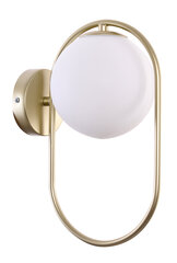 Candellux lighting šviestuvas Cordel 21-73440 kaina ir informacija | Sieniniai šviestuvai | pigu.lt
