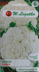Цветная капуста Робер, 2 шт. цена и информация | Семена овощей, ягод | pigu.lt
