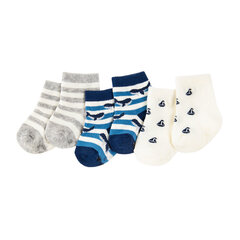 Cool Club kojinės berniukams, 3 vnt., CHB2401980-00, balta/mėlyna/pilka kaina ir informacija | Kojinės, pėdkelnės kūdikiams | pigu.lt