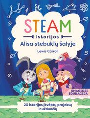 Steam istorijos: Alisa stebuklų šalyje kaina ir informacija | Enciklopedijos ir žinynai | pigu.lt