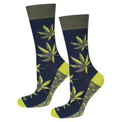 Soxo vyriškos kojinės indelyje už dovaną kaina ir informacija | Originalios kojinės | pigu.lt