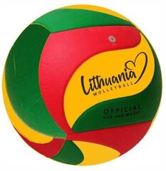 Tinklinio Kamuolys Tomaz Sport AM-LLW05 kaina ir informacija | Tinklinio kamuoliai | pigu.lt