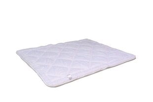 Зимние одеяло PEN-POL цена и информация | Одеяла | pigu.lt