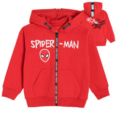 Cool Club bluzonas berniukams Žmogus-voras (Spider-man), LCB2510530 kaina ir informacija | Megztiniai, bluzonai, švarkai berniukams | pigu.lt