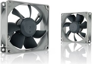 Noctua NF-R8 Redux-1200 kaina ir informacija | Kompiuterių ventiliatoriai | pigu.lt