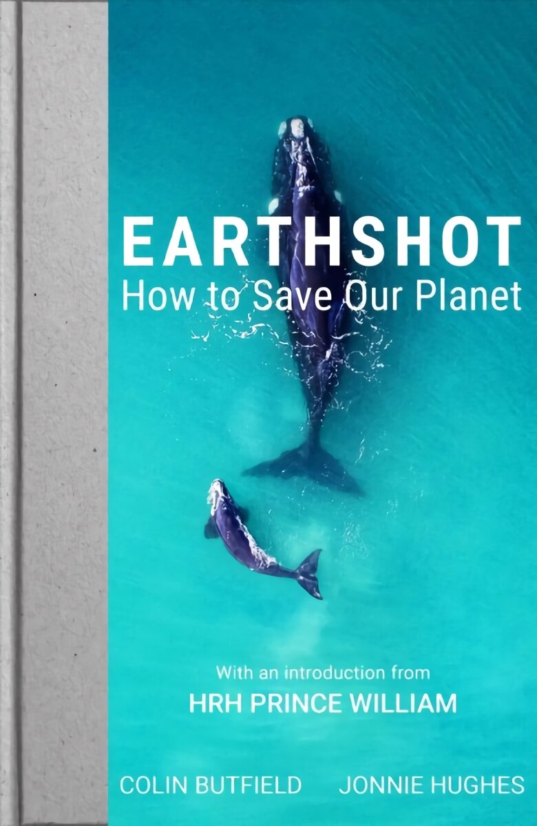 earthshot-how-to-save-our-planet-kaina-pigu-lt