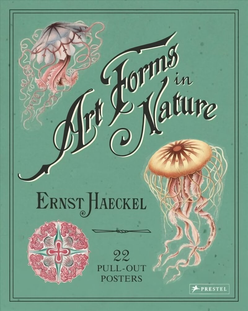 Ernst Haeckel Art Forms in Nature 22 PullOut Posters 22 PullOut