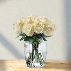 Baltai kreminės rožės Rosa Avalanche, 19 vnt. kaina ir informacija | Gyvos gėlės | pigu.lt