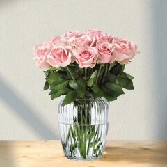 Rožinės rožės Rosa, 9 vnt. kaina ir informacija | Gyvos gėlės | pigu.lt