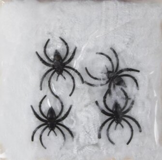 Voratinklis su voriukais, baltas (500 g.) kaina ir informacija | Dekoracijos šventėms | pigu.lt