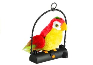 Попугай повторяет слова Красный цена и информация | Игрушки для малышей | pigu.lt
