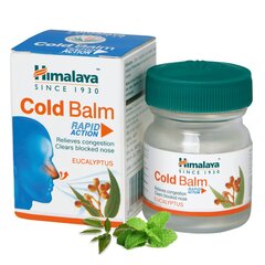 Eukalipto balzamas Himalaya Herbals Cold Balm, 10 ml kaina ir informacija | Balzamai, tepalai | pigu.lt