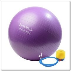 Gimnastikos kamuolys HMS, violetinis kaina ir informacija | Gimnastikos kamuoliai | pigu.lt