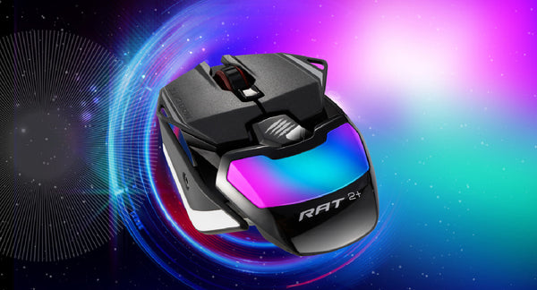 rat 2 mouse