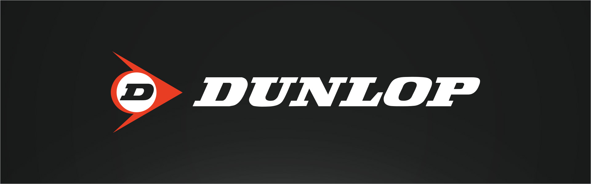 Dunlop SP BLURESPONSE 205/55R16 91 V Dunlop