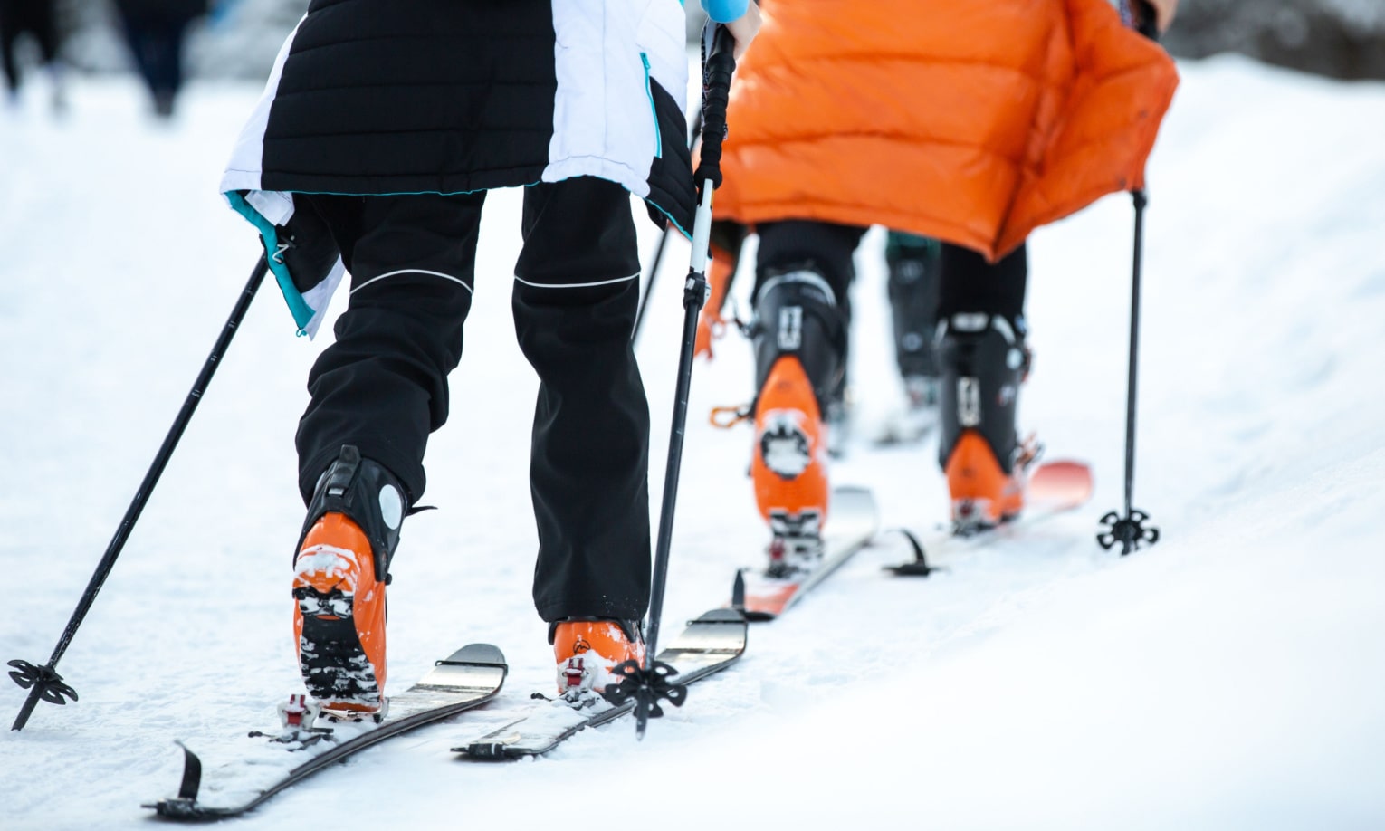 мужчины на лыжах с лыжными палками в руках