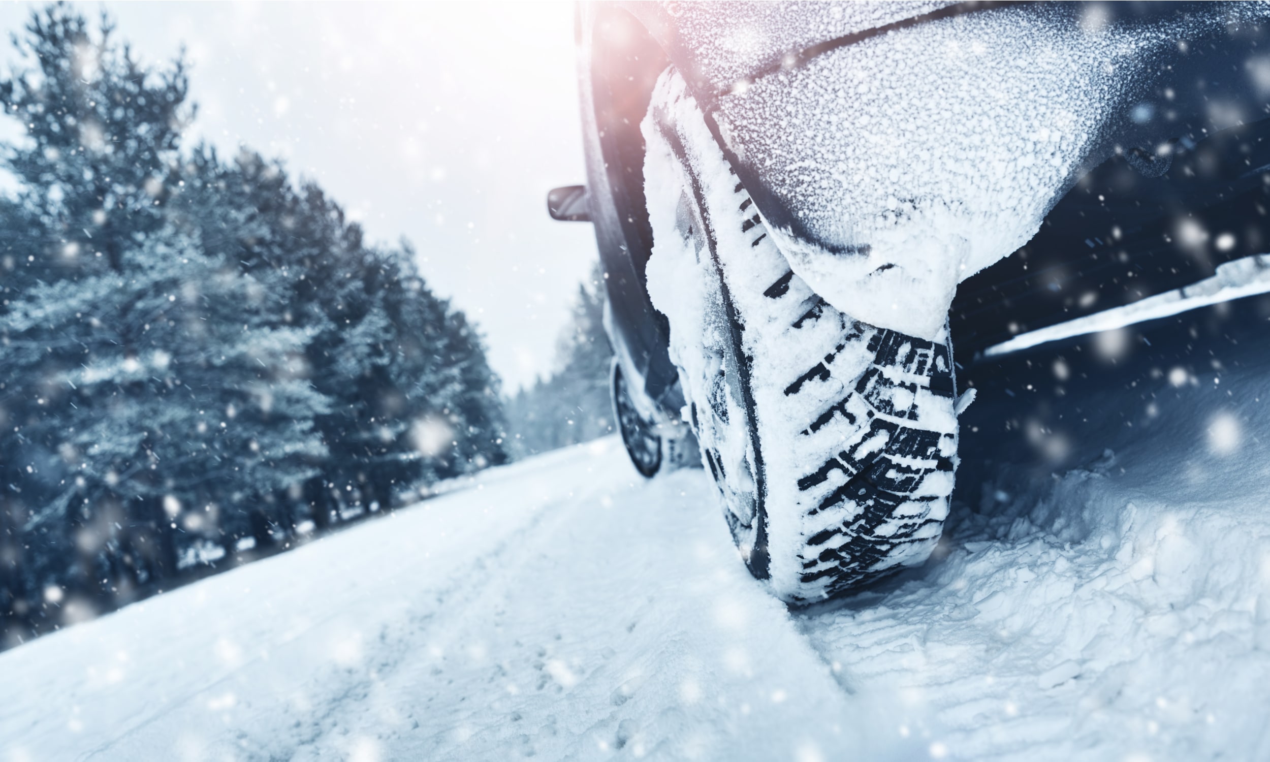 зимние шины используются для езды по заснеженным дорогам