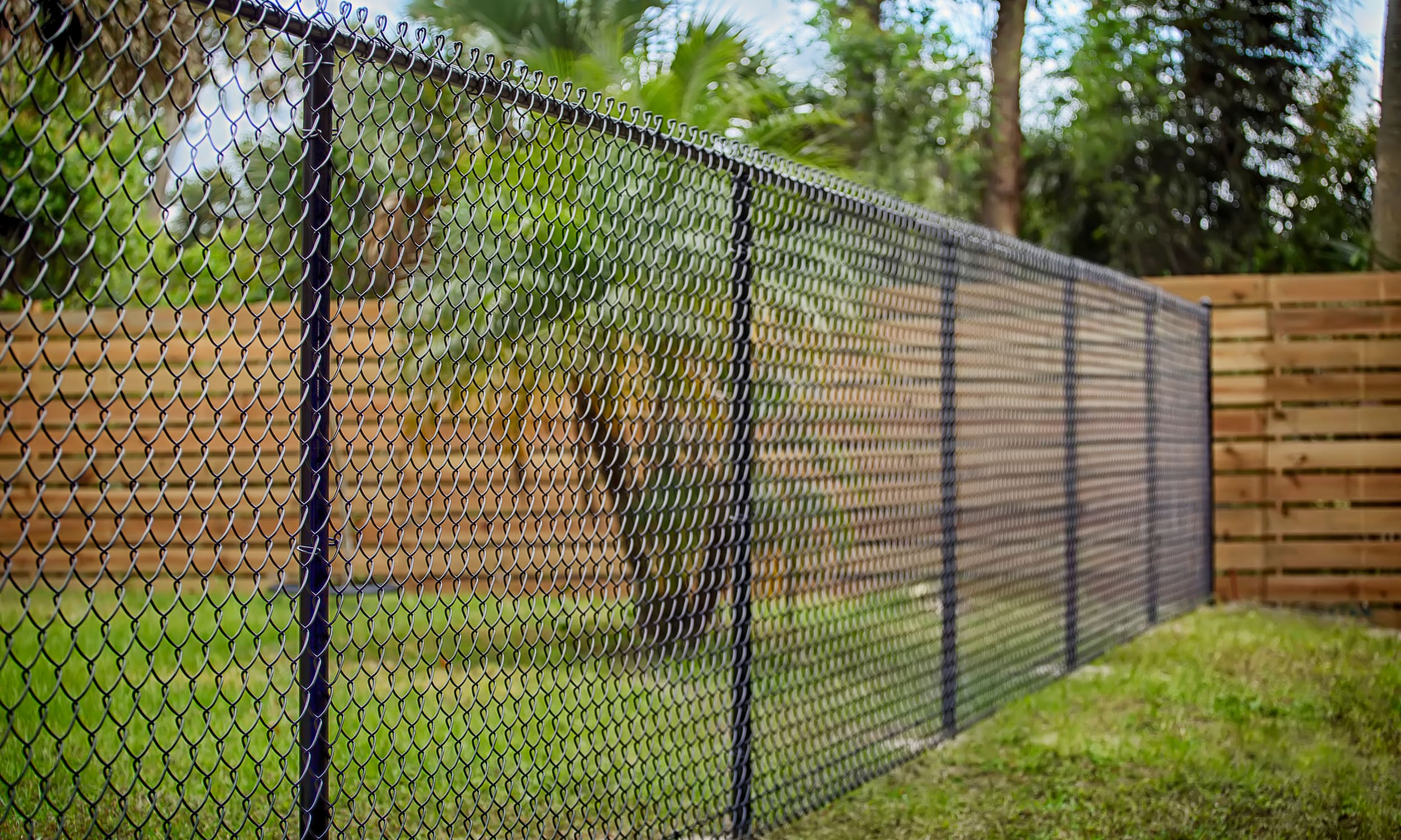 двор с забором из сетки