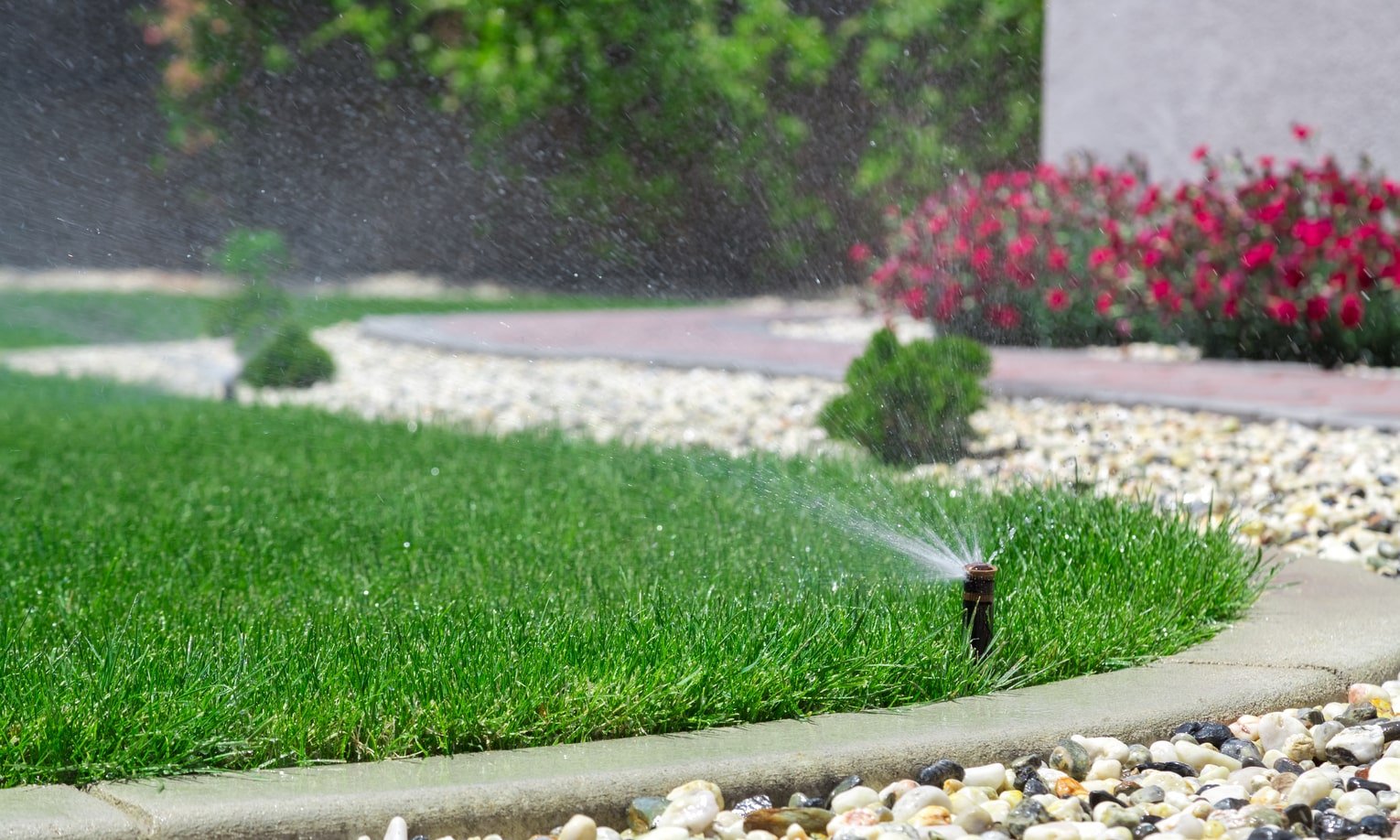 система полива двора распыляет воду на газон