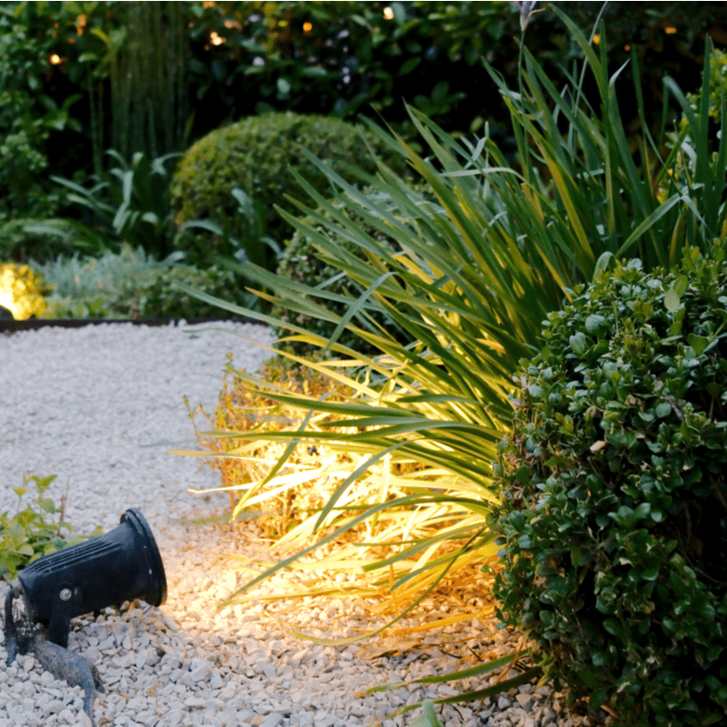 наружное освещение - точечные светильники во дворе, направленные на растения