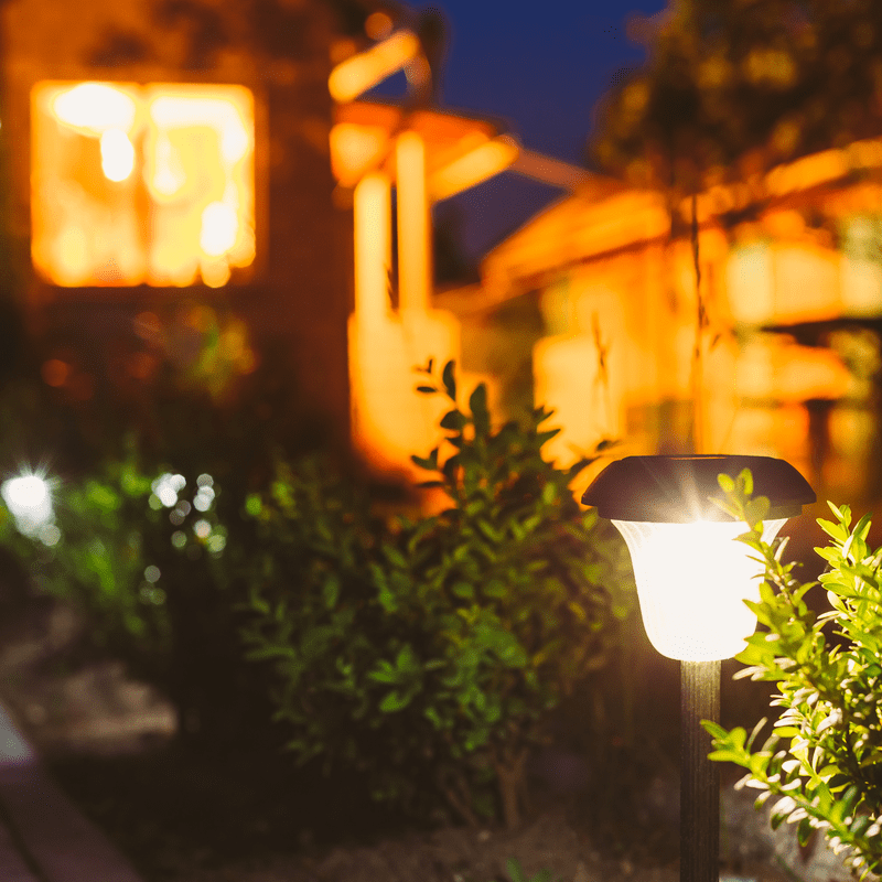 уличные фонари рядом с растением освещают путь к дому на улице