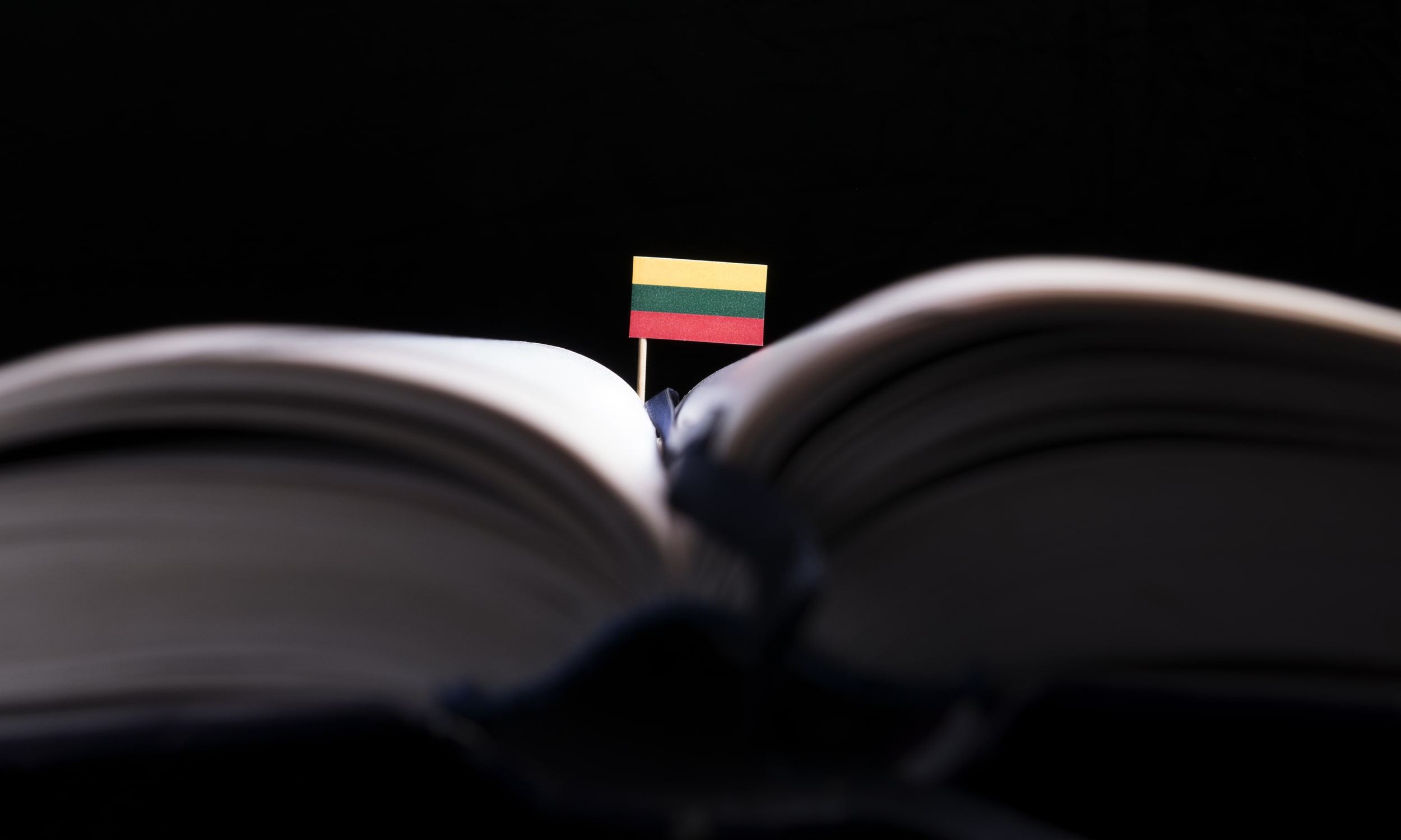 открыл литовскую книгу с литовским флагом внутри