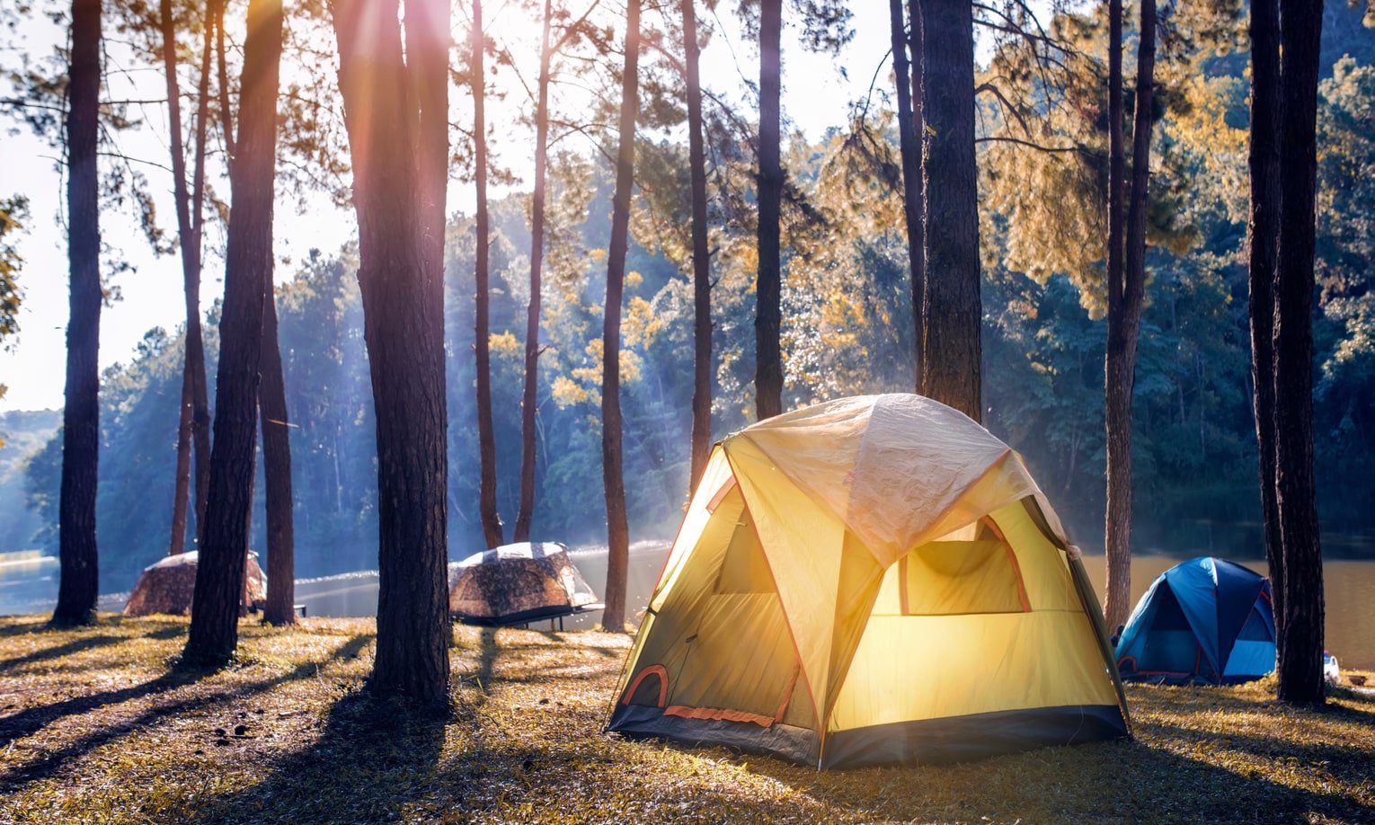палатки для пикника на природе